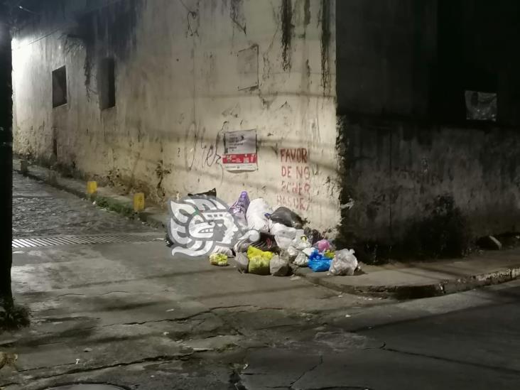 Limpia Pública no recoge basura en calle Úrsulo Galván de Xalapa, denuncian vecinos