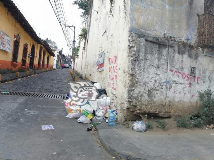 Limpia Pública no recoge basura en calle Úrsulo Galván de Xalapa, denuncian vecinos