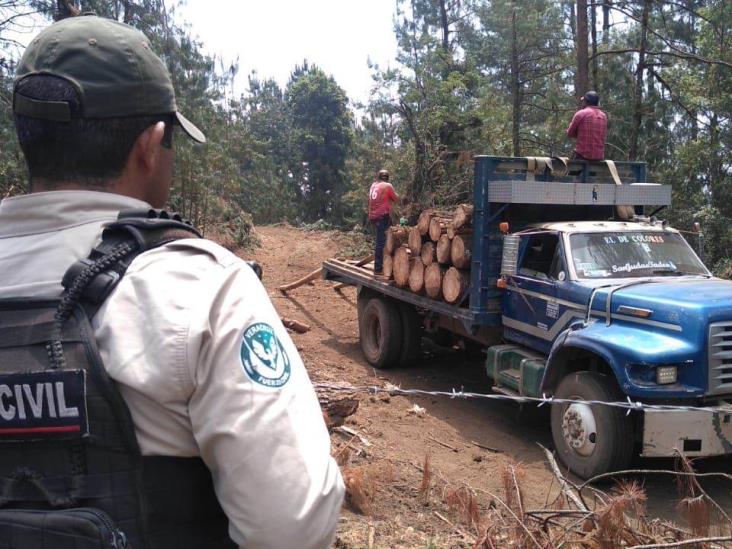 Clausuran SSP Veracruz y Profepa predio forestal en Coatepec