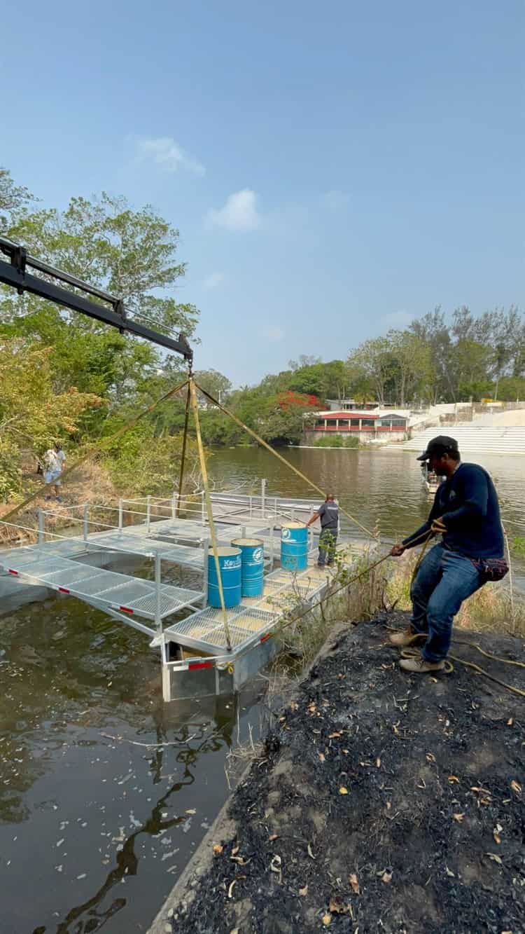Recolectan casi 1 tonelada de basura con jaulas instaladas en ríos de Veracruz