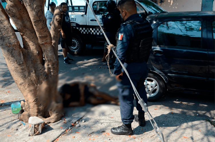 Acusan a sujeto de entrar a una casa en la colonia Centro de Veracruz