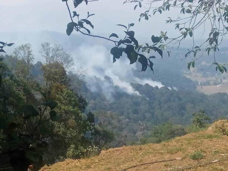 Fuego en Cofre de Perote amenaza con llegar a comunidades