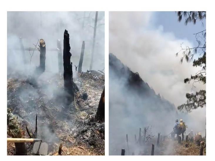 En redes, piden apoyo para combatir incendio en Acajete