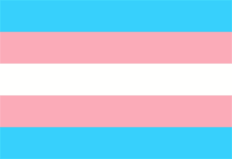Mujeres y hombres trans, invisibilizados en Veracruz con sus derechos
