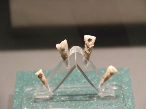 Este antiguo compuesto maya pudo haber prevenido problemas dentales