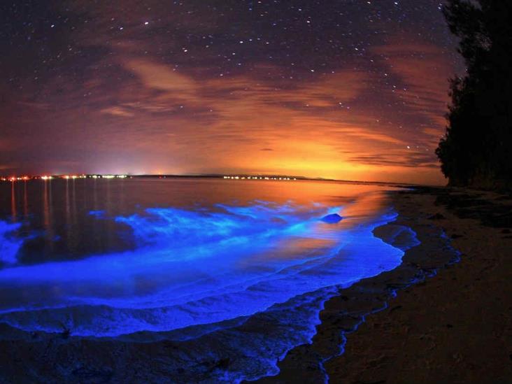 ¡De magia! El fenómeno de la bioluminiscencia en lagunas de Oaxaca