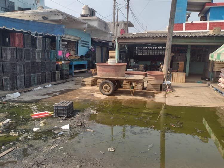 Mercado Malibrán de Veracruz, con múltiples problemáticas por la basura