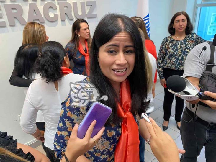 Desde el Senado, protección a gobernador y fiscal de Veracruz: Indira Rosales