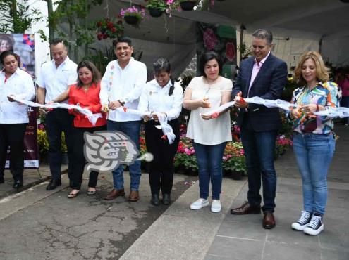 Reúne Expo Flor y Miel de Xalapa a más de 40 viveristas y apicultores