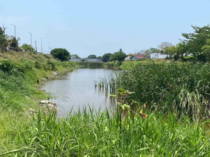 Piden atención para laguna de la colonia Los Laureles