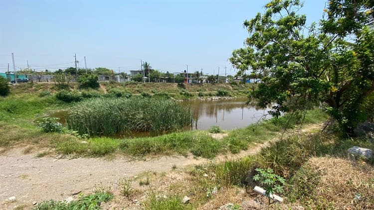 Piden atención para laguna de la colonia Los Laureles