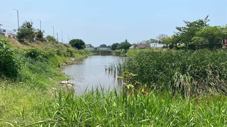 Piden atención para laguna de la colonia Los Laureles