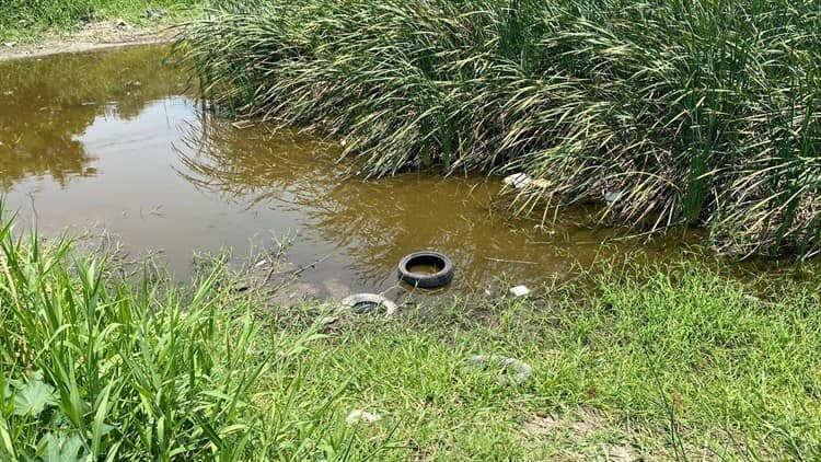 Piden atención para laguna de la colonia Los Laureles