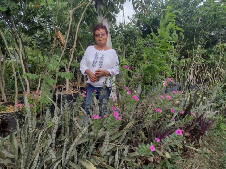 Ciudadanos crean el “Vivero de las Hormigas Acuáticas” en Veracruz