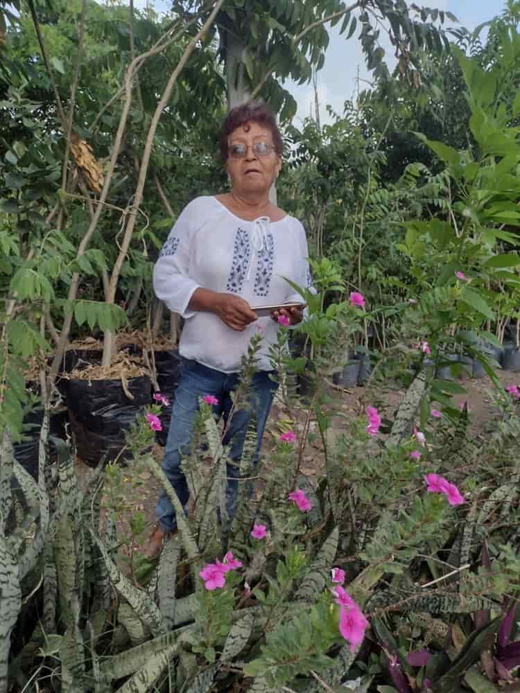 Ciudadanos crean el “Vivero de las Hormigas Acuáticas” en Veracruz