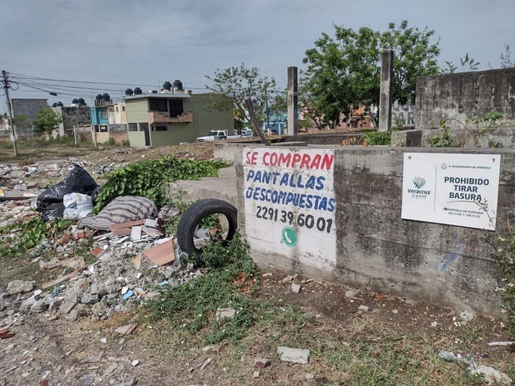 Terreno abandonado en fraccionamiento de Veracruz, foco de asaltos e infecciones