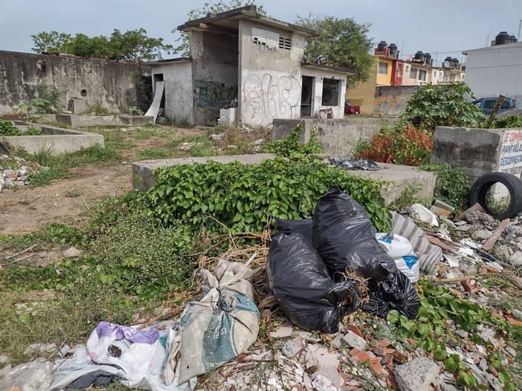 Terreno abandonado en fraccionamiento de Veracruz, foco de asaltos e infecciones