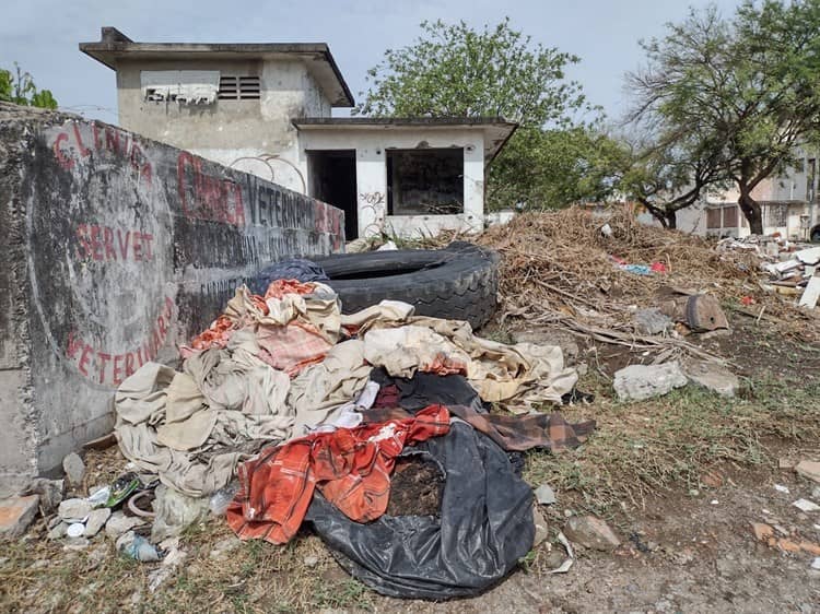 Terreno abandonado en fraccionamiento de Veracruz, foco de asaltos e infecciones