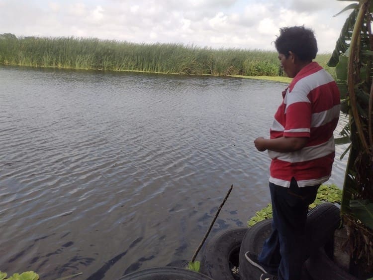 Laguna La Espuma en Veracruz, fuente de alimento para pobladores