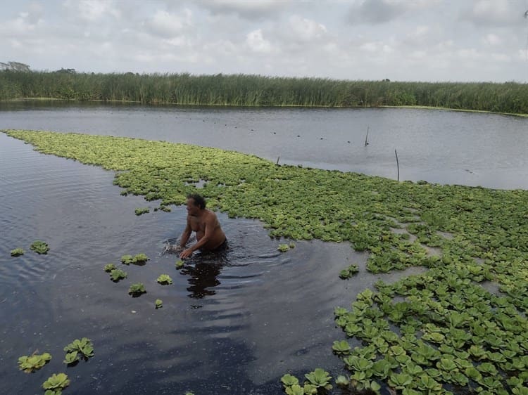 Laguna La Espuma en Veracruz, fuente de alimento para pobladores