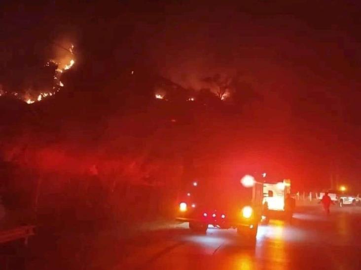 En Papantla, incendio arrasó con 50 hectáreas de pastizales