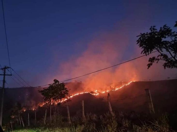 En Papantla, incendio arrasó con 50 hectáreas de pastizales