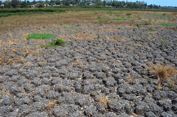 A falta de lluvias, trasladarán agua a laguna El Farallón