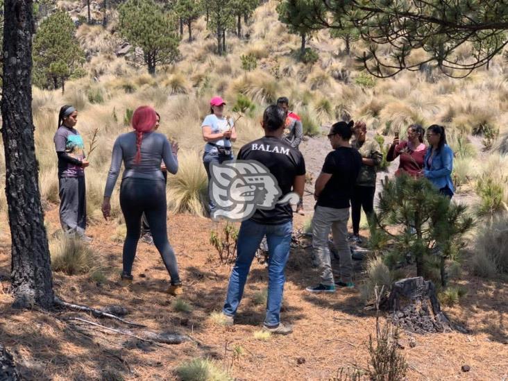 Grupos ‘espirituales’ están acabando con rosa del Pico de Orizaba