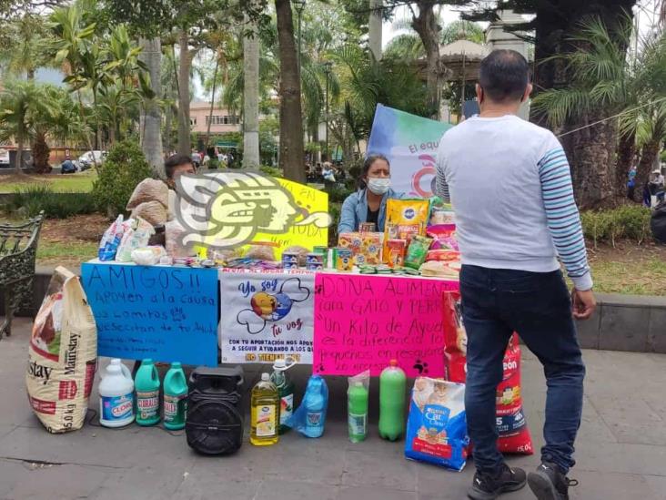 Reúnen ayuda para rescatistas de lomitos en Orizaba