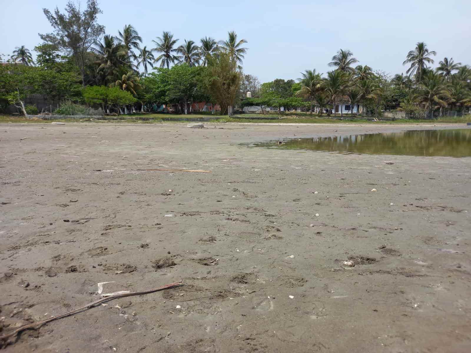 Limpieza que se realiza en la Laguna de San Julián no es la adecuada: Earth Mission