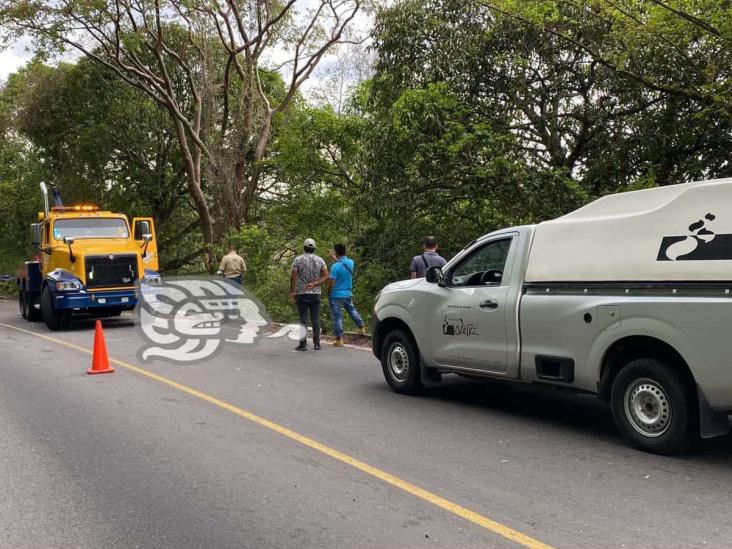 Vuelca tractocamión en la carretera Atoyac-Paso del Macho; hay un muerto