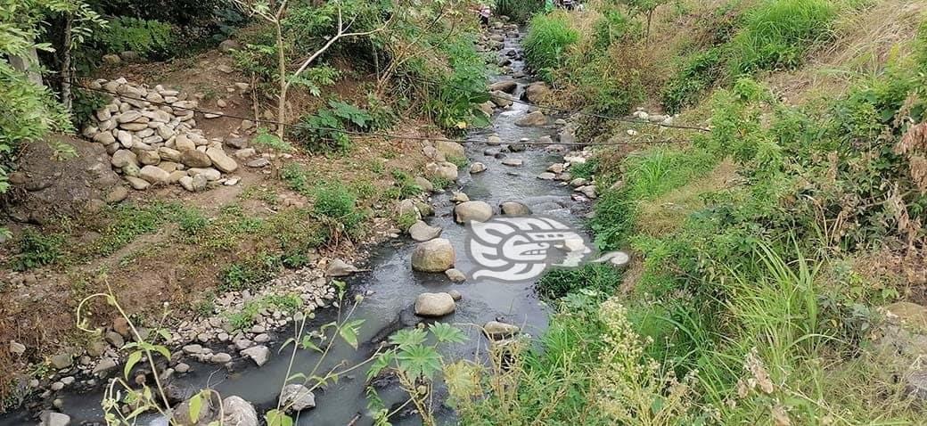 Aguas cristalinas lucen envenenadas; grave contaminación en arroyo en Misantla