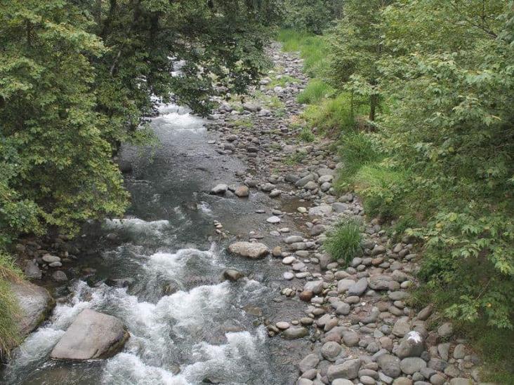 Retirar concesiones de agua, no sirve si no se cuidan los ríos: biólogo