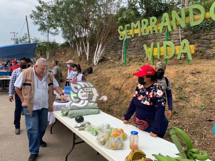 Acayucan será sede de Sembrando vida Oaxaca-Veracruz