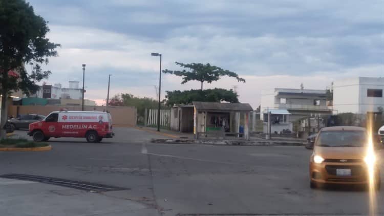 Vecinos son picados por abejas fuera de una tienda en fraccionamiento Puente Moreno