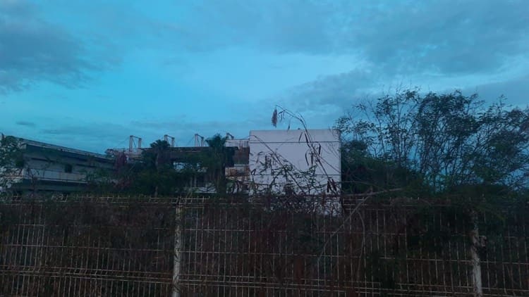 Vecinos son picados por abejas fuera de una tienda en fraccionamiento Puente Moreno