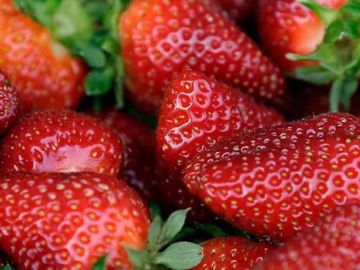 Investigan brote de hepatitis A por fresas mexicanas en EU y Canadá