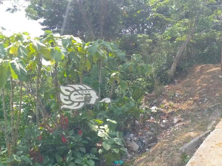 Calle de Agua Dulce es usada como basurero, denuncian