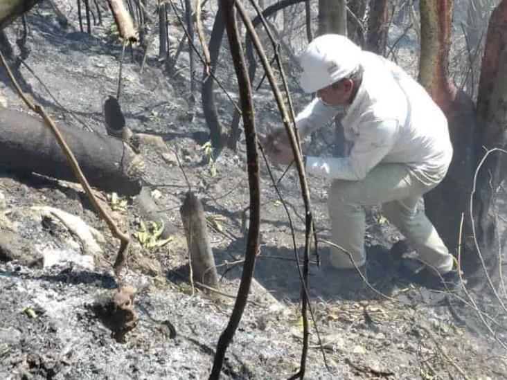 Cerrada, fuga de ducto de Pemex en Papantla; incendio liquidado