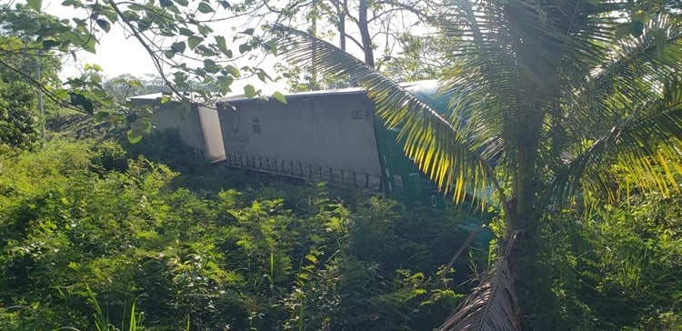 Trailer se sale de la carretera Cosamaloapan - Tuxtepec para evitar accidente