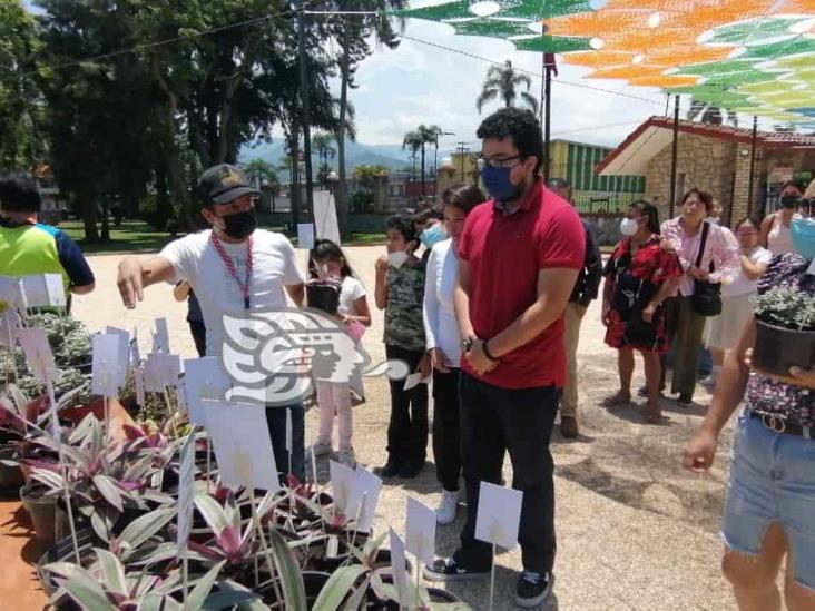 Para fomentar cultura de cuidado al medio ambiente, regalan plantitas en Orizaba