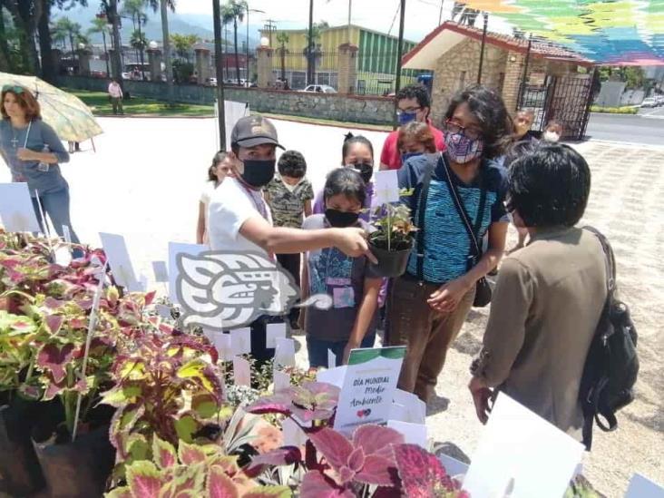 Para fomentar cultura de cuidado al medio ambiente, regalan plantitas en Orizaba