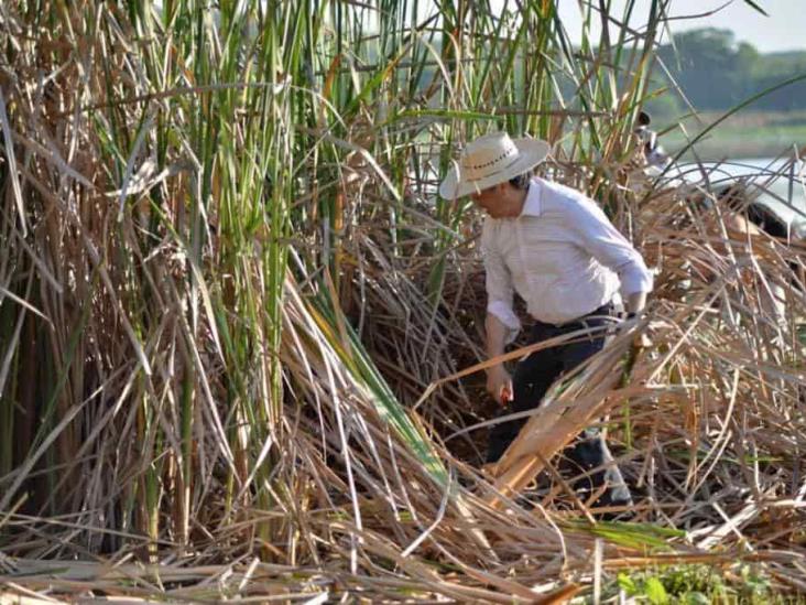 Pondrán queja por remoción de vegetación natural en limpia de la Laguna de San Julián