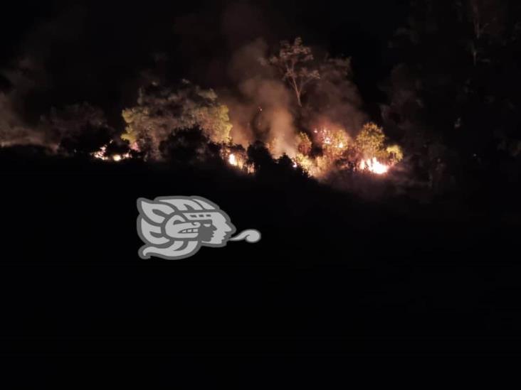 Se registra incendio forestal en El Colipa; reportan fuerte movilización de bomberos