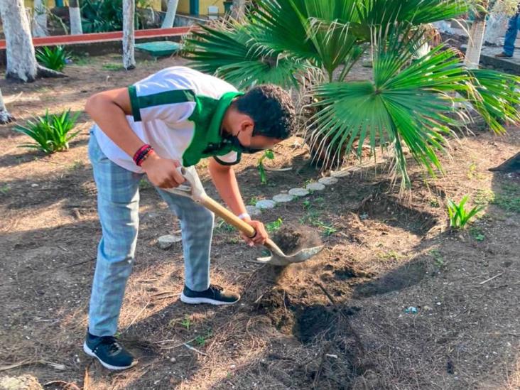 Planta Ayuntamiento árboles en escuelas de Coatzacoalcos