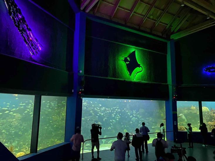 Casi 5 mil personas visitan el Aquarium de Veracruz en el día gratis