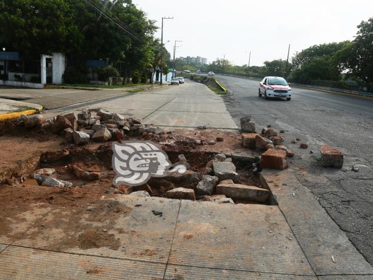 Socavones rodean el puente Palma Sola de Coatzacoalcos