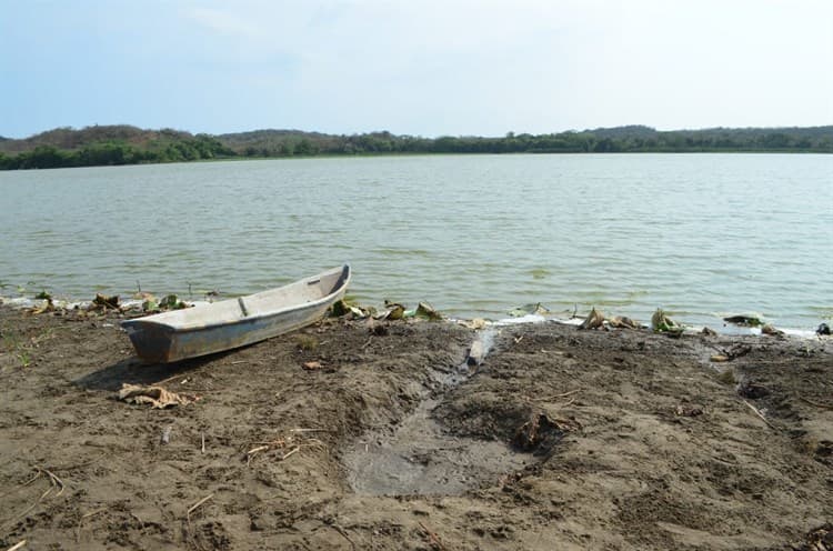 Detectan tiradero clandestino cerca de Laguna San Julián, en Veracruz