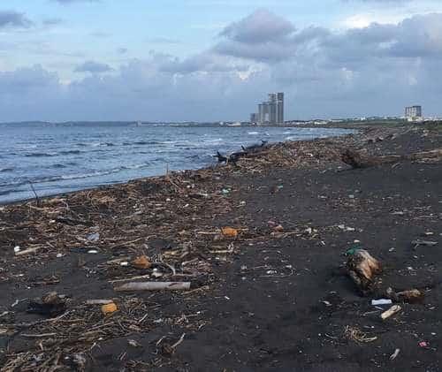 Más de 4 mil residuos de plástico en Veracruz: Greenpeace