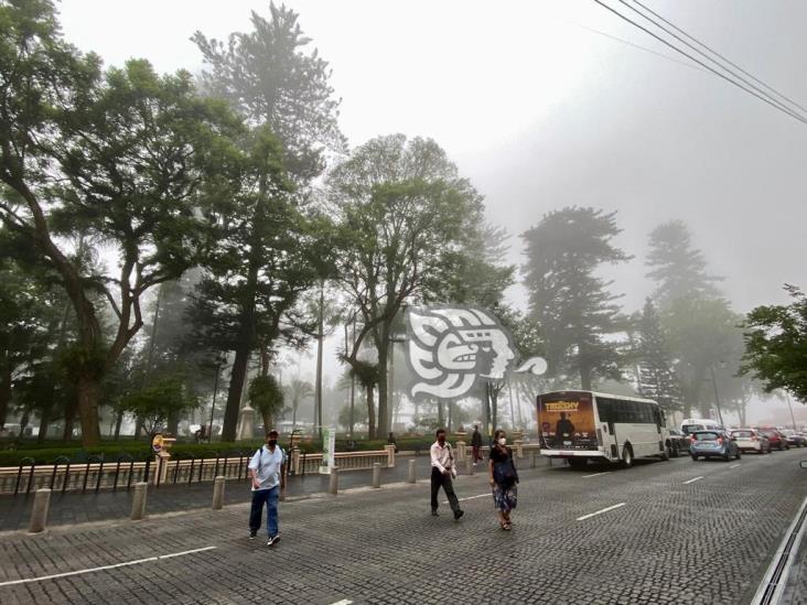 Lluvias se concentran en sur de Veracruz, disminuirán el fin de semana